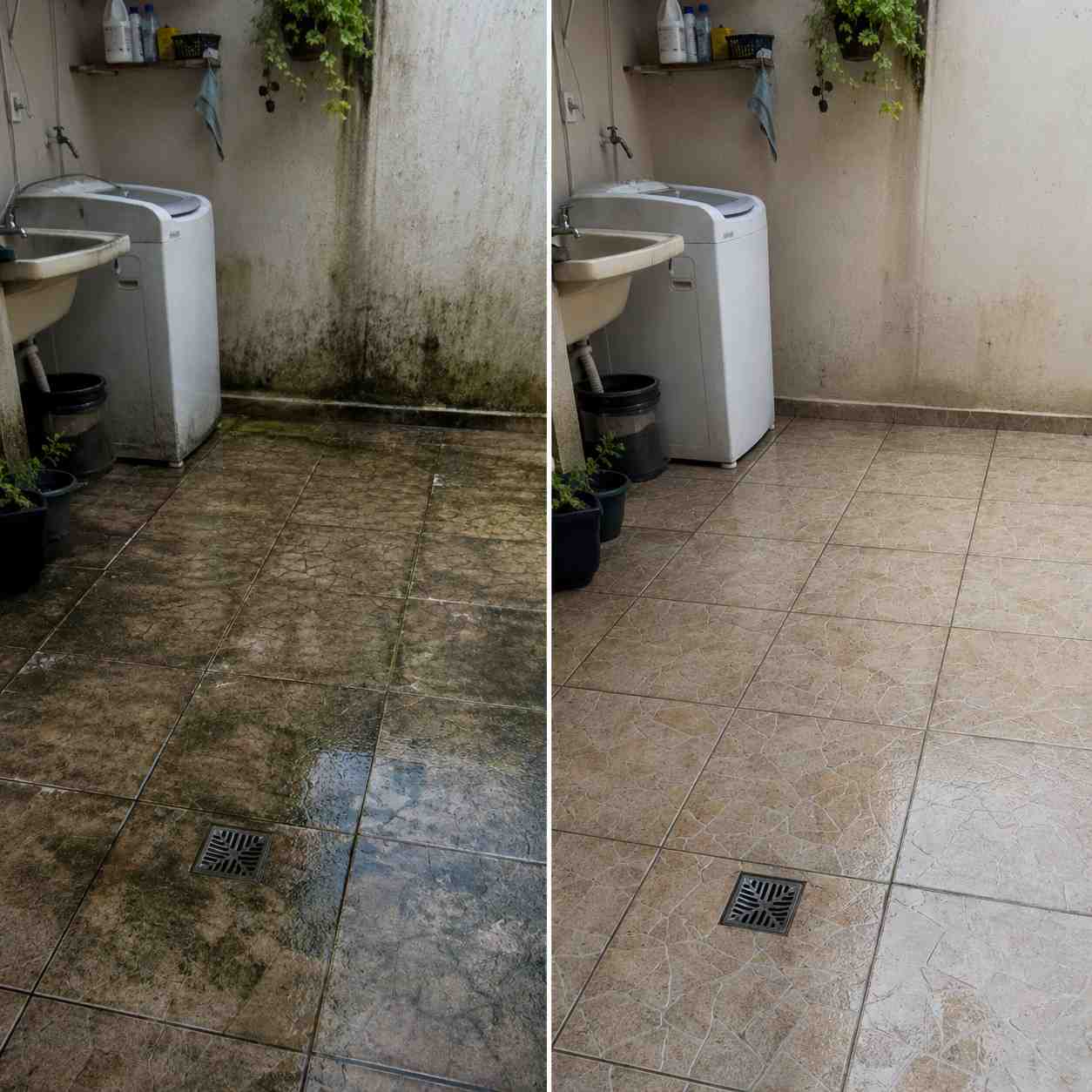 Plano do Primeiro Serviço em 7 Dias